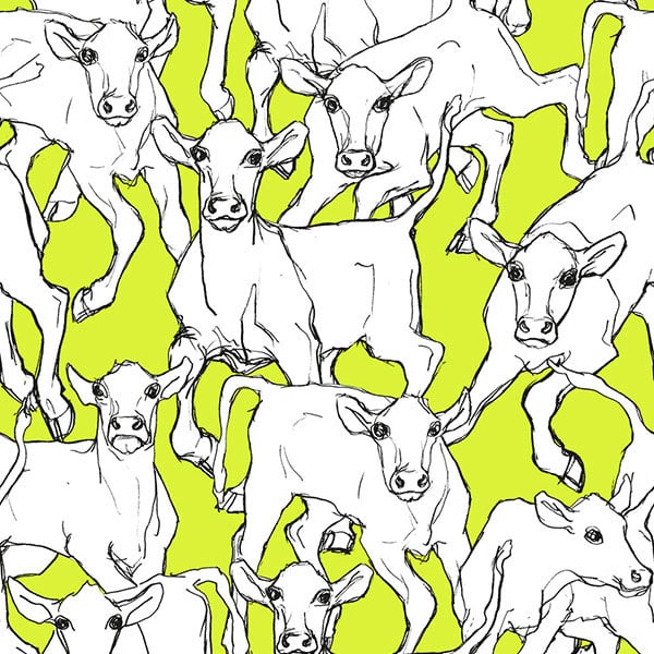 Galerie Wallpaper Product code: 14105 - Marimekko Essentials Wallpaper Collection - Green White Black Colours -  