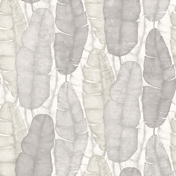 Galerie Wallpaper Product code: 9800 - Concetto Wallpaper Collection -   