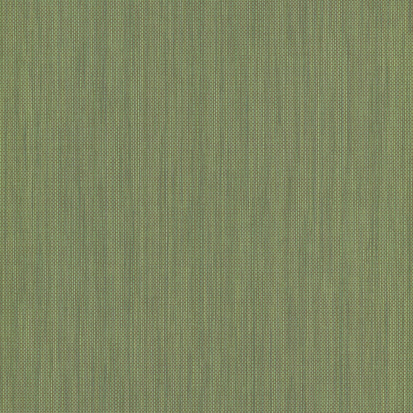 Galerie Wallpaper Product code: AM30038 - Amazonia Wallpaper Collection - Green Colours -  