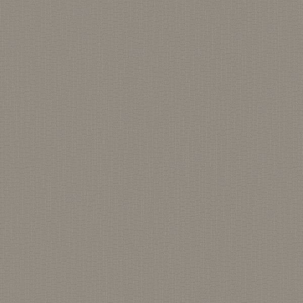Galerie Wallpaper Product code: DC30211 - Designer Colours Wallpaper Collection - Beige Colours -  