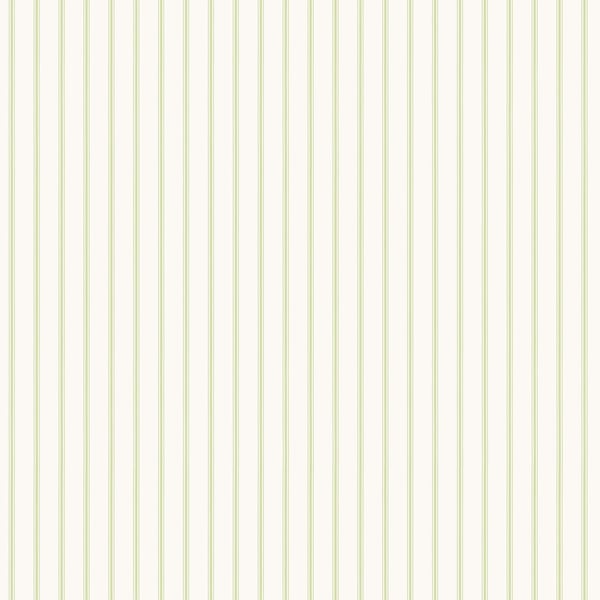 Galerie Wallpaper Product code: SY33930 - Simply Stripes 3 Wallpaper Collection - Green Colours -  