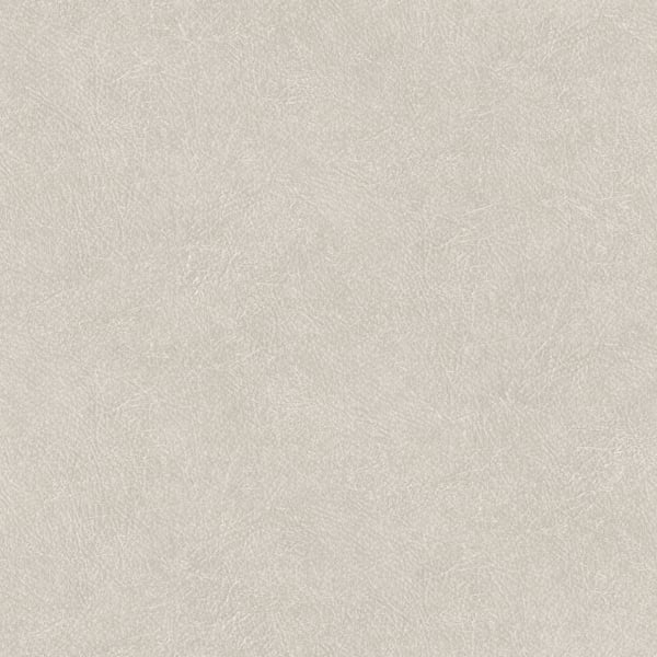 Galerie Wallpaper Product code: TA25020 - Shades Of Colour Wallpaper Collection - white  Colours -  