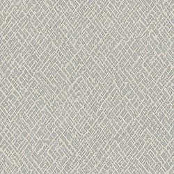 Galerie Wallcoverings Product Code: 99127 - Earth Wallpaper Collection Galerie Wallcoverings Product Code 99127 - Earth Wallpaper Collection - Beige, Platinum Colours - Crosshatch Design