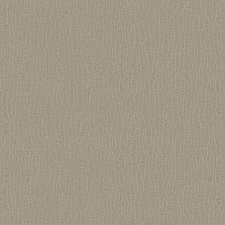 Galerie Wallcoverings Product Code DC30043 - Designer Colours Wallpaper Collection - Beige Colours - Abstract Lines Design
