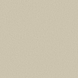 Galerie Wallcoverings Product Code DC30135 - Designer Colours Wallpaper Collection - Beige Colours - Even Texture Design