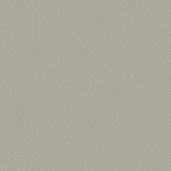 Galerie Wallcoverings Product Code DC30144 - Designer Colours Wallpaper Collection - Beige Colours - Close Texture Design