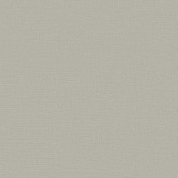 Galerie Wallcoverings Product Code DC30202 - Designer Colours Wallpaper Collection - Silver Grey Colours - Fine Lines Texture Design