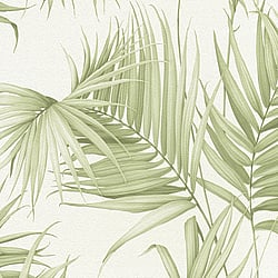 Galerie Wallcoverings Product Code: ES31132 - Escape Wallpaper Collection Galerie Wallcoverings Product Code ES31132 - Escape Wallpaper Collection - Green, White Colours - Palm Leaves Design