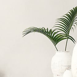 Galerie Wallcoverings Product Code: G56684 - Small Prints Wallpaper Collection Galerie Wallcoverings Product Code G56684 - Small Prints Wallpaper Collection - Gold White Colours - Shell Top Design
