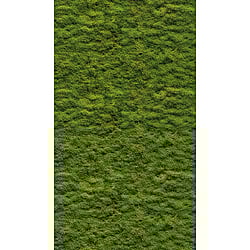 Galerie Wallcoverings Product Code WH45208M - Welcome Home Murals Wallpaper Collection - Green Colours - Moss Haven Design