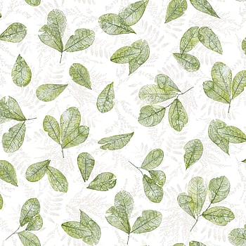 Galerie Wallcoverings Product Code 7305 - Evergreen Wallpaper Collection - Green Colours -  