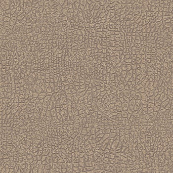 Galerie Wallcoverings Product Code AC60000 - Absolutely Chic Wallpaper Collection - Beige Brown Metallic Colours -  