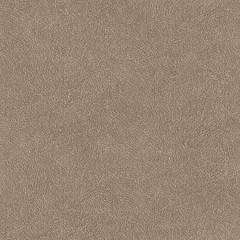 Galerie Wallcoverings Product Code TA25024 - Shades Of Colour Wallpaper Collection - taupe Colours -  